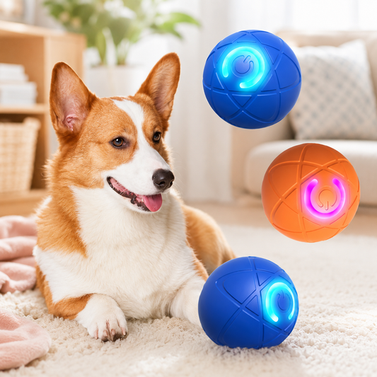 F - Juguete Pelota  saltarin para perros
