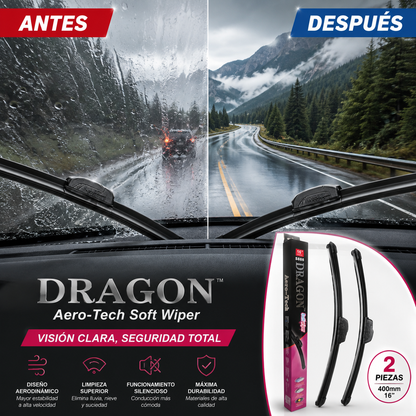 Par plumillas limpiaparabrisas RainDragon