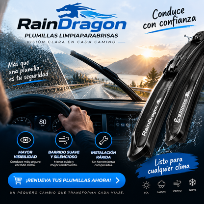 Par plumillas limpiaparabrisas RainDragon