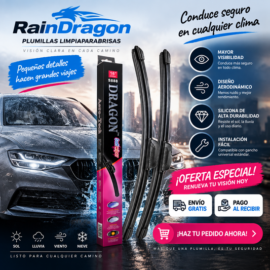 Par plumillas limpiaparabrisas RainDragon